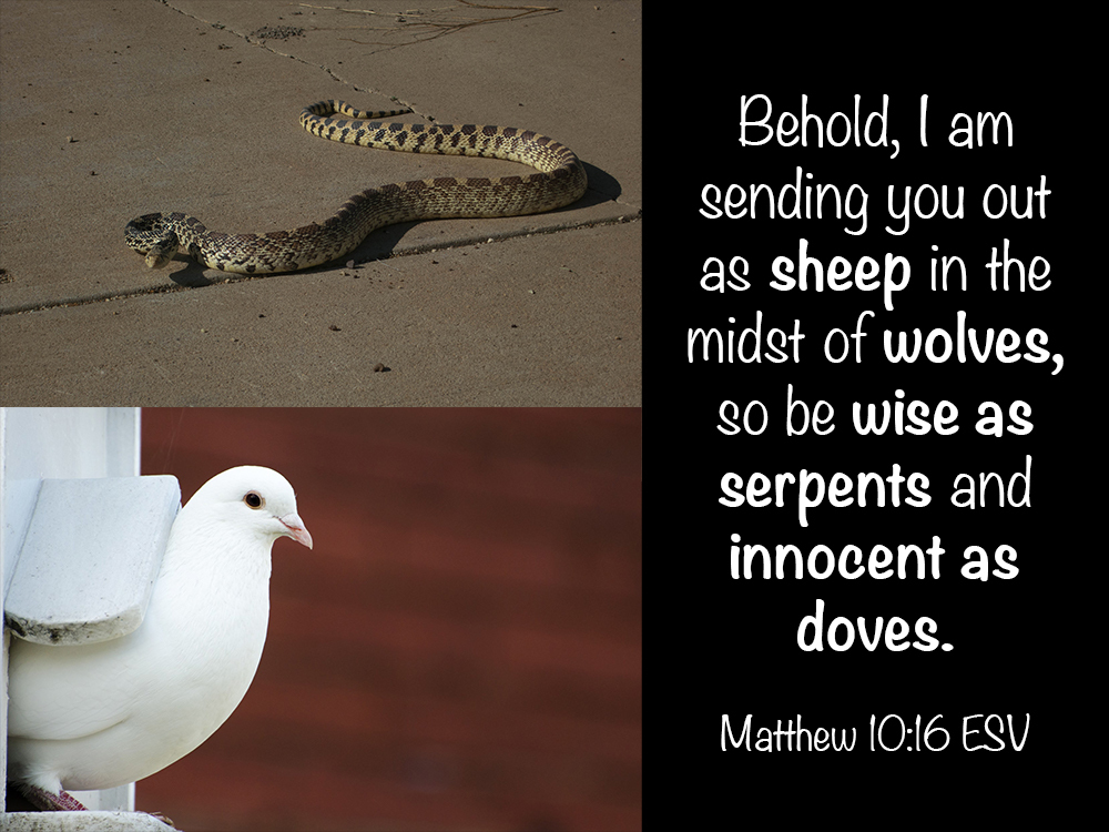 matthew-10_16.jpg
