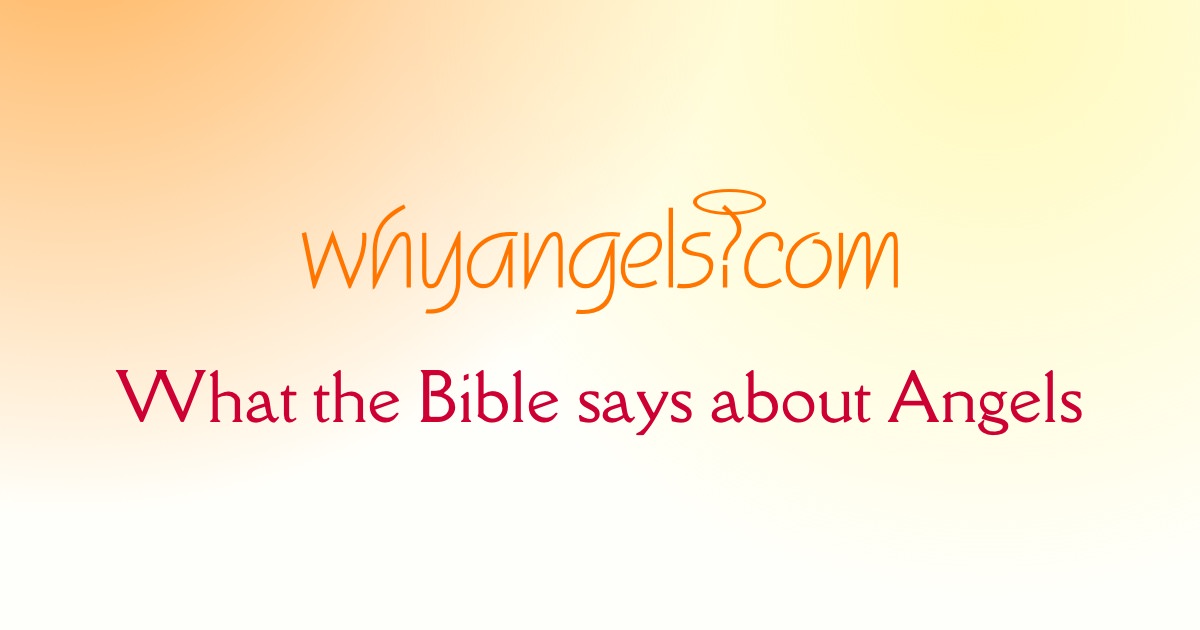www.whyangels.com