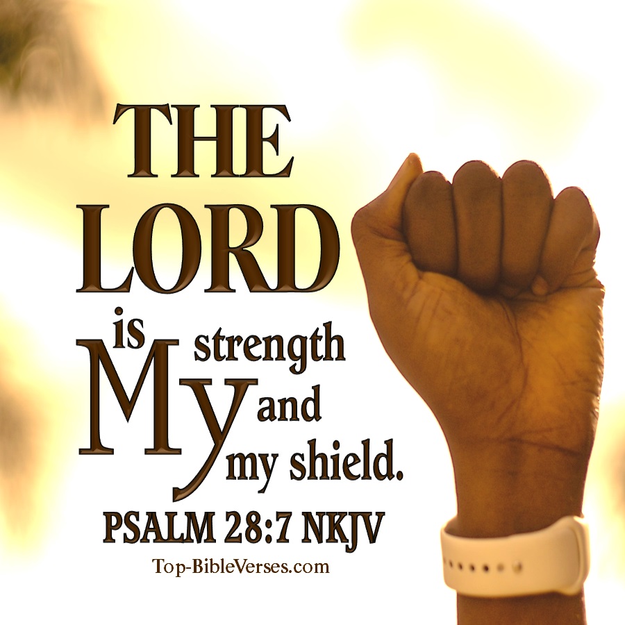 Psalm-28-7-NKJV-The-Lord-is-my-strength-and-my-shield-4.jpg