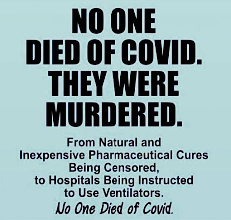 no-one-died-covid.jpeg