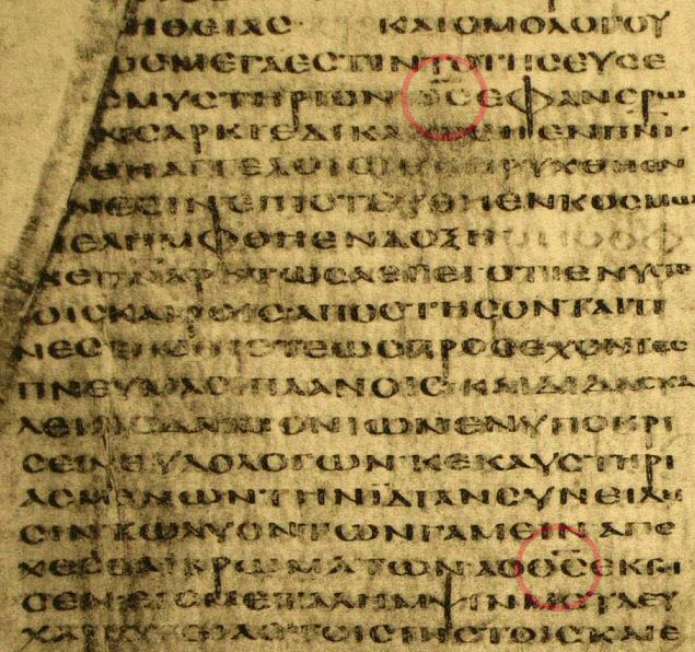 alexandrinus4.jpg