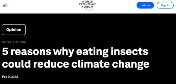 wef-eating-insects-headline-1-800x383-1.jpg