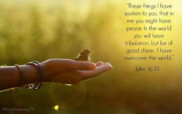 5ef1381496281cac86f3ccf801c9c4a6--good-morning-bible.jpg