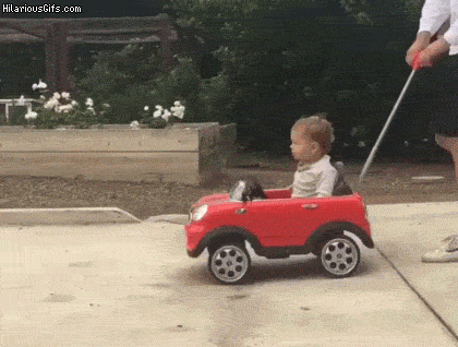 dog-pinping-ride-toy-car.gif