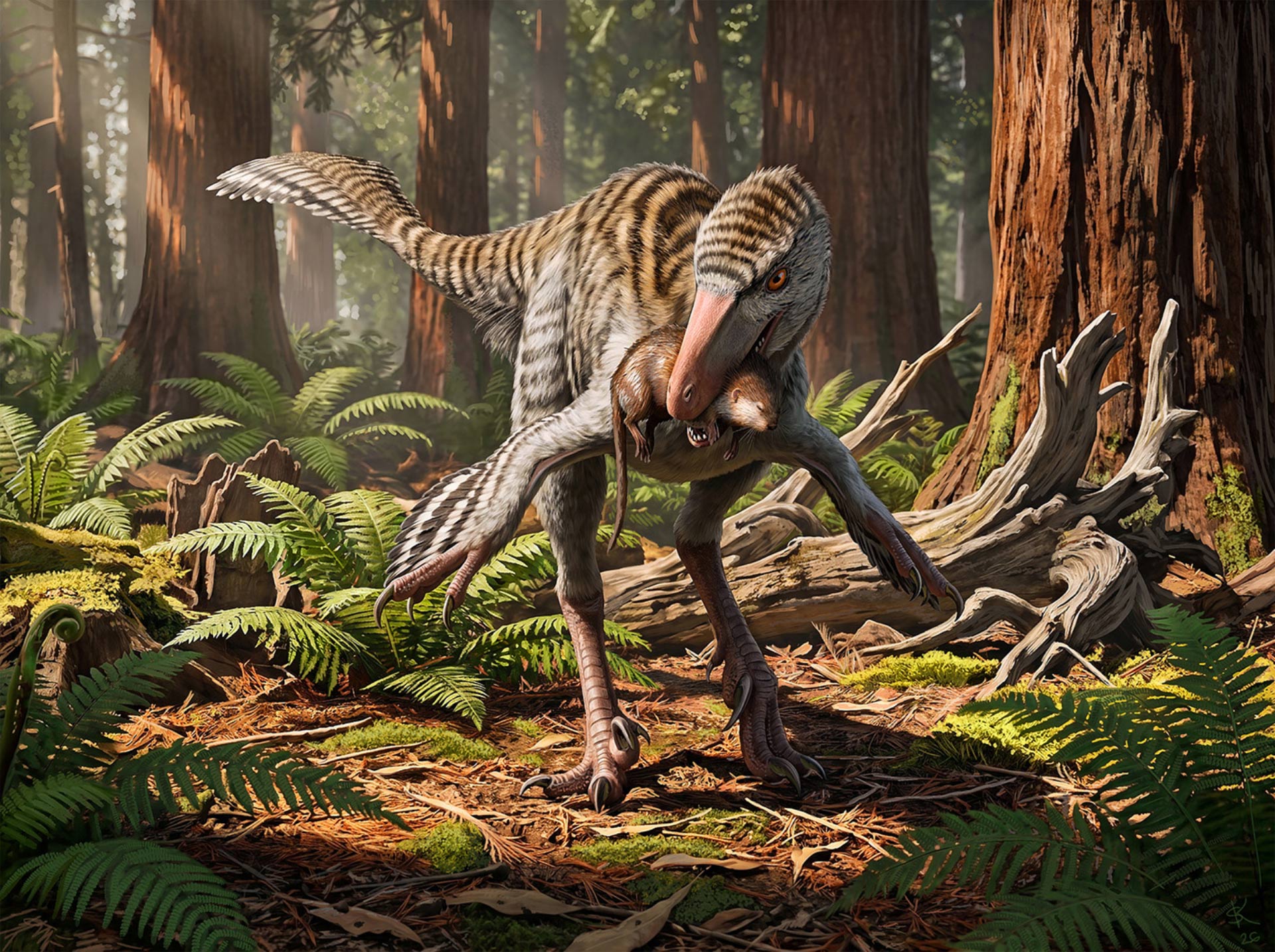 image_14976e-Dinevenator-robustus.jpg