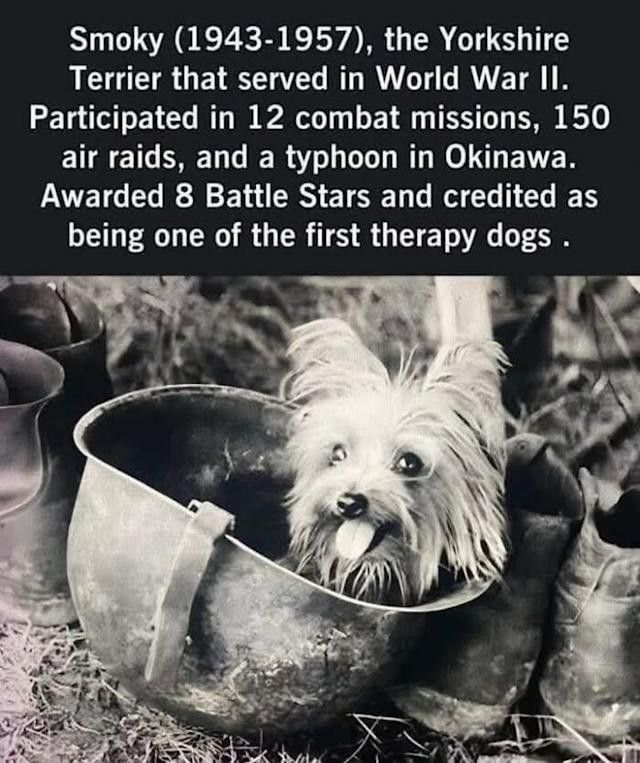 1000001584.jpg
