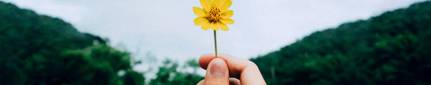 odb20211227.jpg