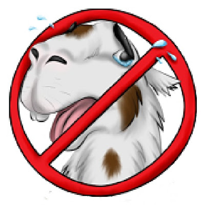 no+drama.jpg