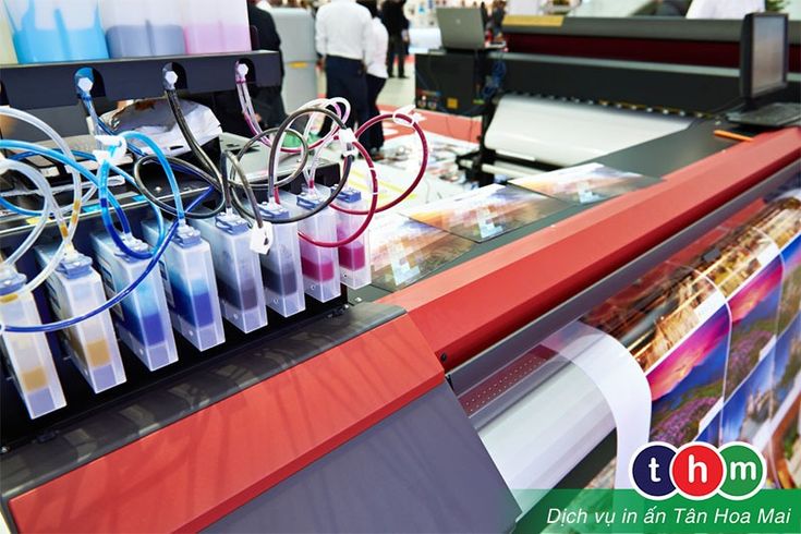 Tân Hoa Mai cung cấp đa dạng dịch vụ in ấn
