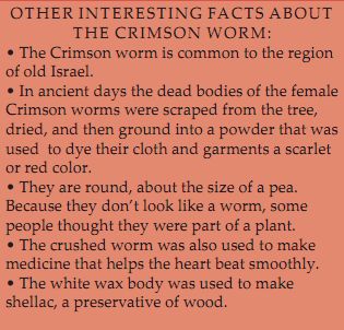 FactsontheScarletWorm.jpg