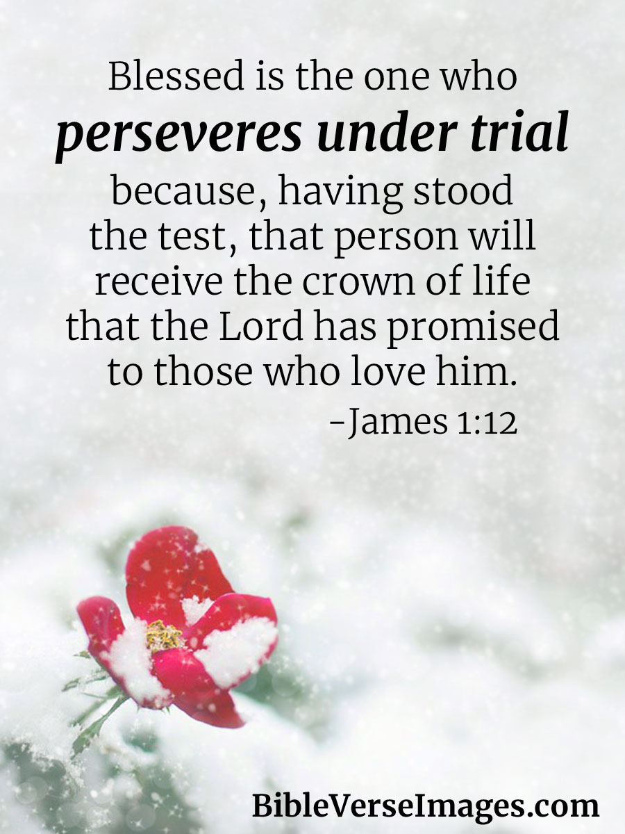 encouraging-bible-verse-4l.jpg