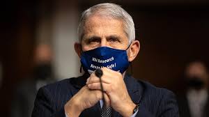 faucimask.jpg
