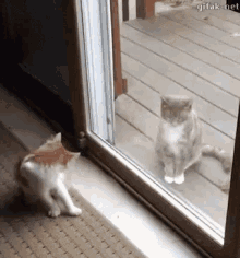 cats-play-time.gif