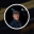 sangerfeed.org