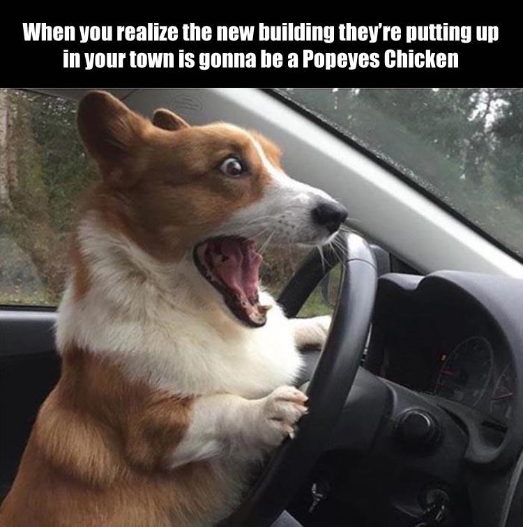 z-funny-8-3.jpg