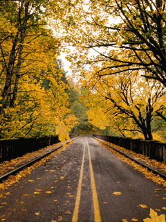 road117fuq_GVwVVq7J.gif