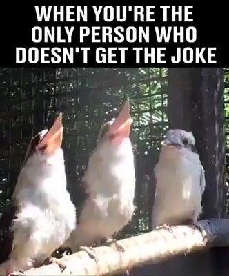 XnFItyegdtrBrsv_1755361527.jpg