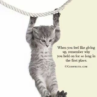 downloadfile-20.jpg