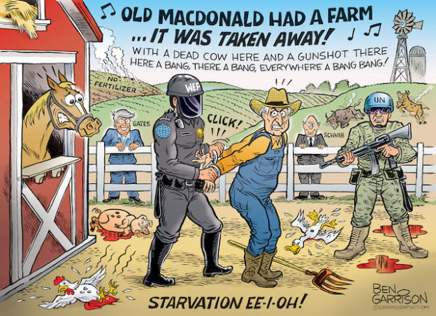 farms_under_attackby-WEF-GATES-624x452-1061159242.jpg