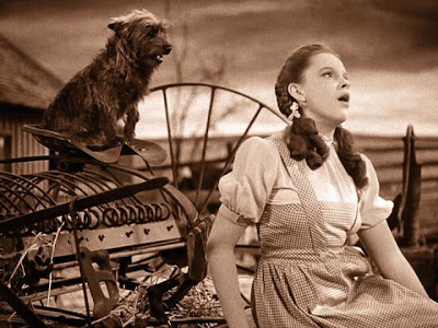 the_wizard_of_oz.jpg