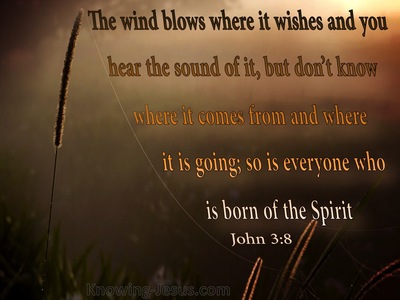 John+3-8+The+Wind+Blows+Where+It+Wills+brown.jpg