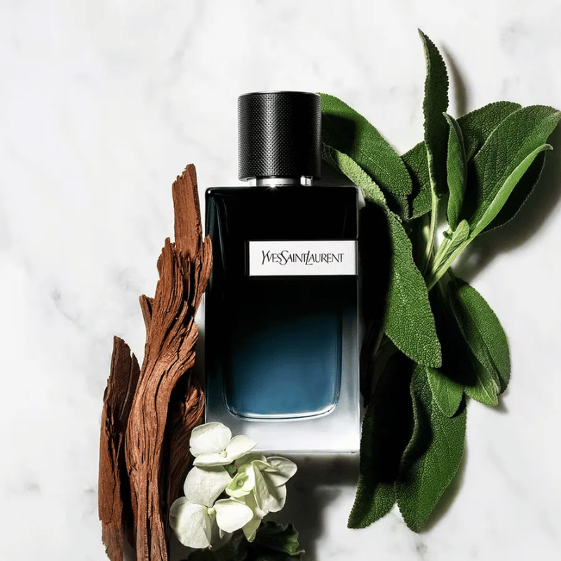 ysl-y-edp-6.png