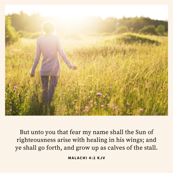 Malachi-4-2-KJV.png