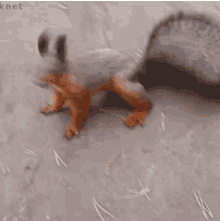 169665480790481639.gif
