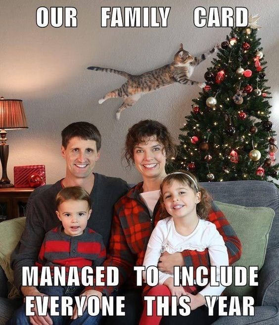 our-family-card