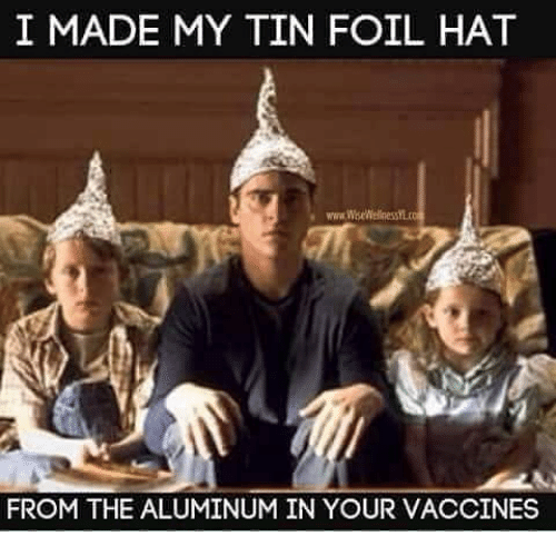 i-made-my-tin-foil-hat-from-the-aluminum-in-26699142.png