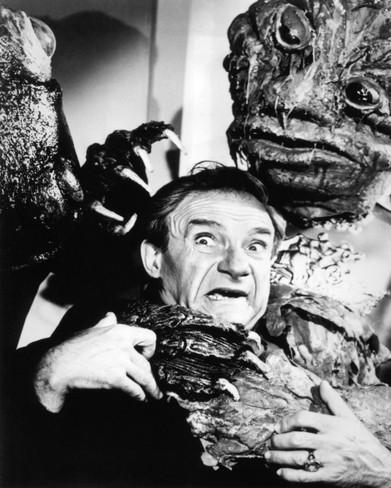 lost-in-space_i-G-54-5490-QUDWG00Z.jpg