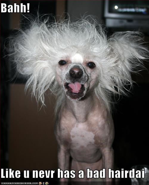 bahh-like-u-nevr-has-a-bad-hairdai