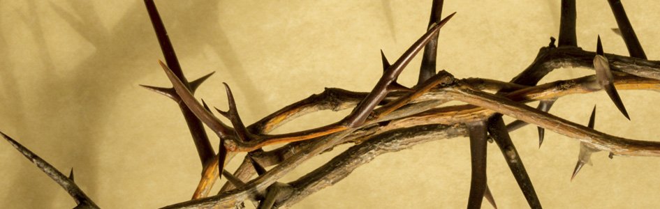 answersingenesis.org
