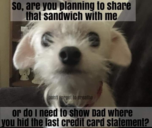 3Uyp5Sn.md.jpg