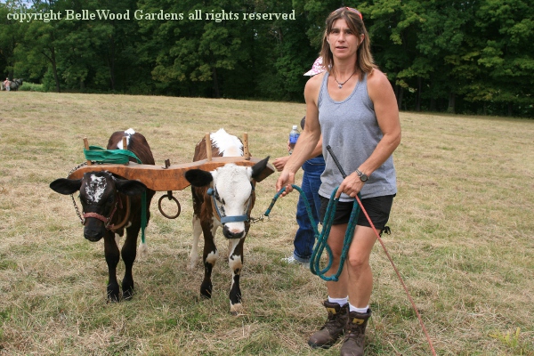 Howell%20Plowing%20Match_2014-08_Linebacker%20oxen.jpg