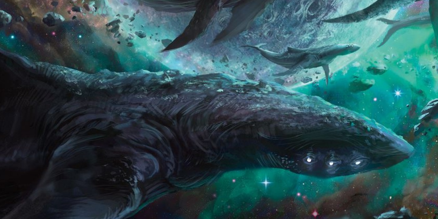 space-whale-header-image.jpeg