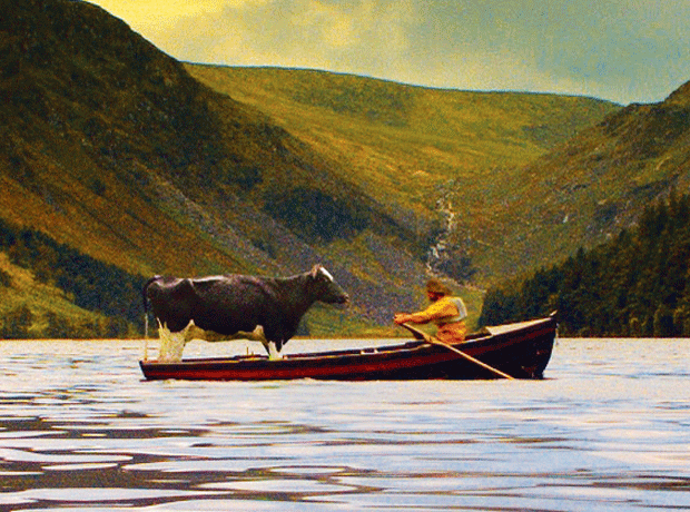 cow-on-boat.gif