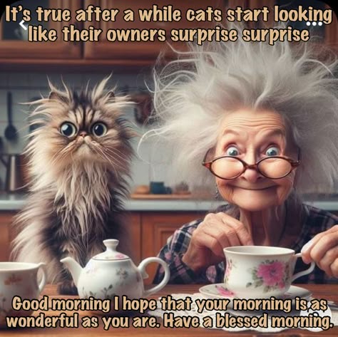 ef0b1e3270d9755f2bc6ac7dd9f289c2.jpg