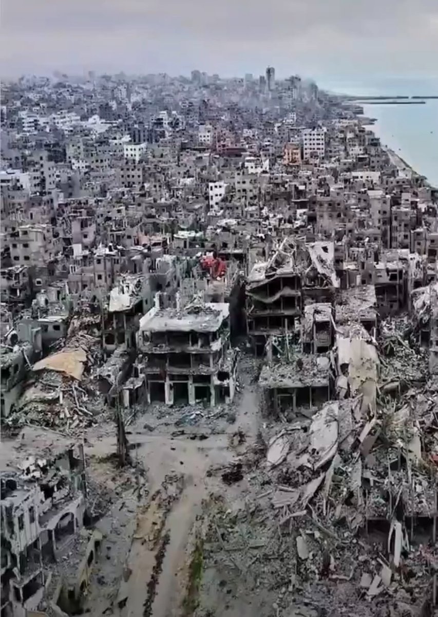 gaza devastation.jpeg