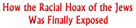 racial_hoax_title.jpg