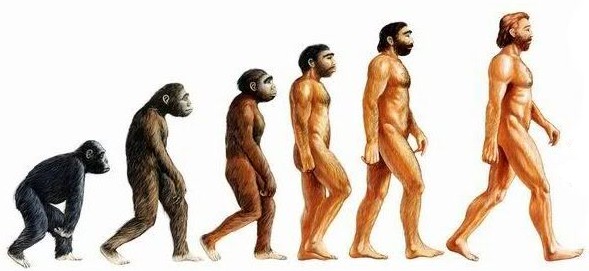 human_evolution.jpg