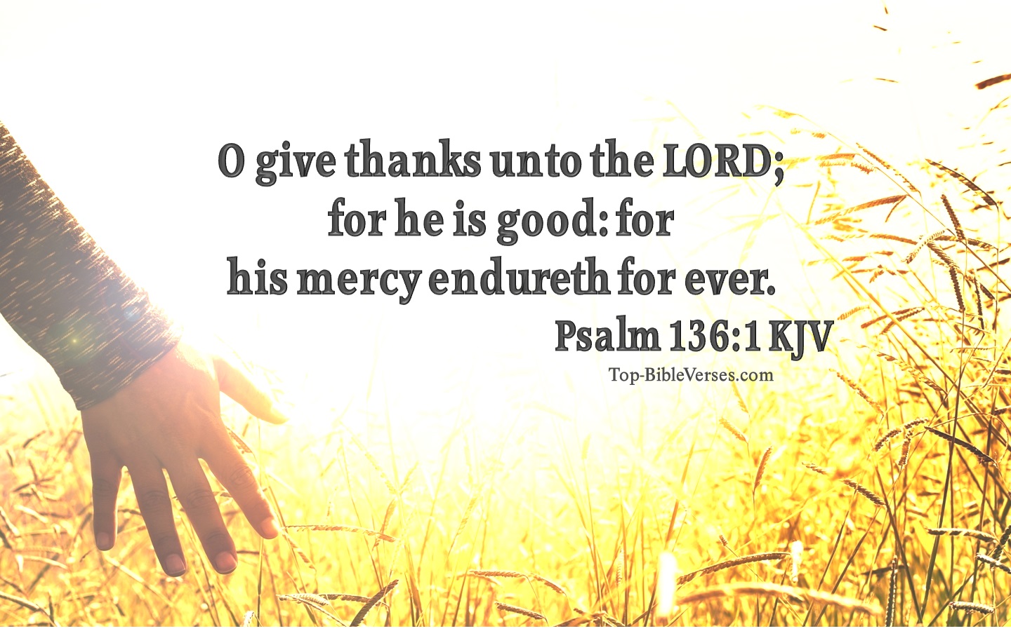 Psalm-136-1-O-give-thanks-unto-the-LORD-for-he-is-good-5.jpg