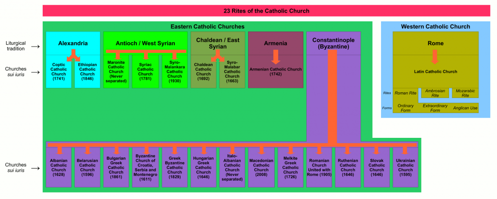 catholicconvert.com