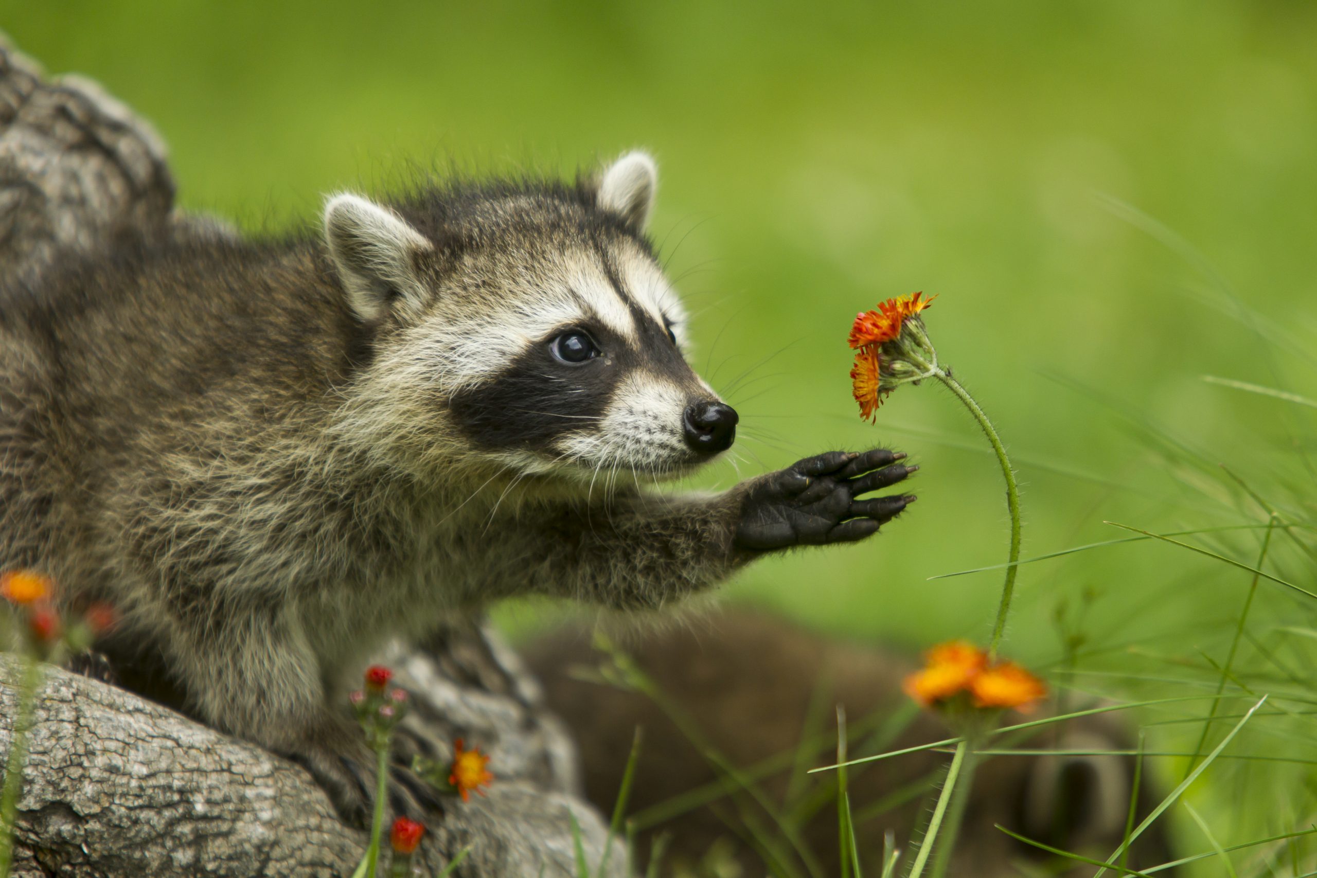 GettyImages-1165332891-scaled.jpg
