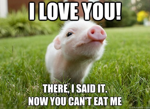 pig-meme-grass-i-love-you-there-i-said-it-now-you-can-t-eat-me-quickmemecom