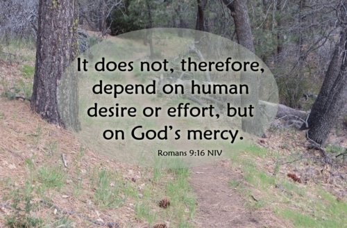 Because-of-his-mercy-500x328.jpg