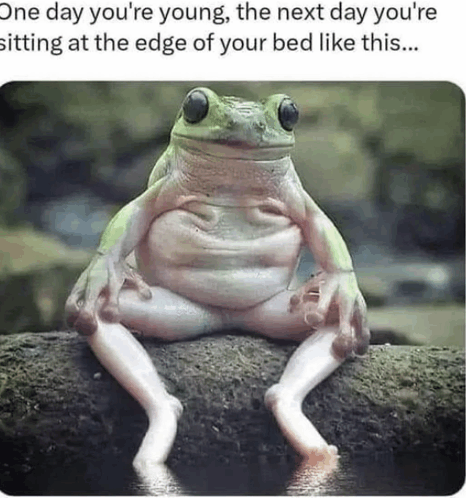 funny-meme.png