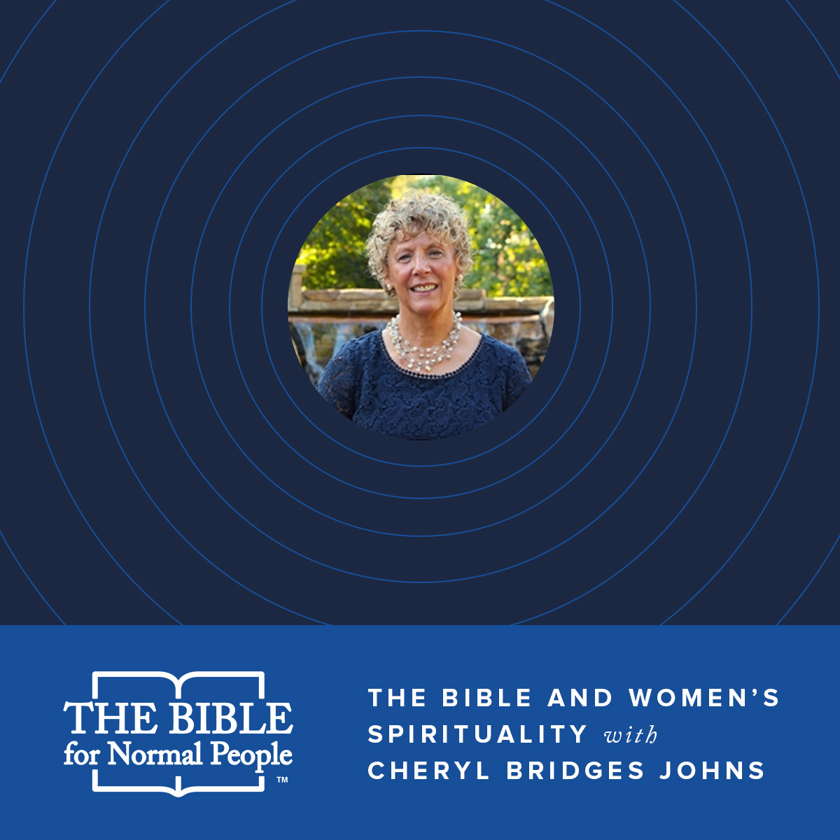 thebiblefornormalpeople.com