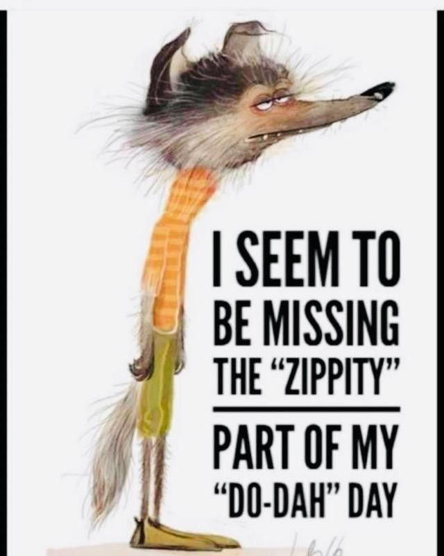 24a4545b-3bc5-47d7-9f85-5237c97e2a5f.jpg