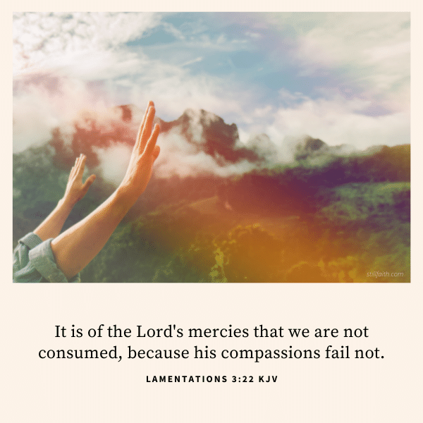 Lamentations-3-22-KJV.png